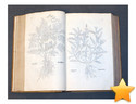 (Botanique) De historia stirpium commentarii insig